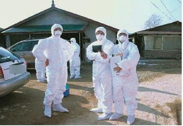 전남 고흥 오리 농장 조류인플루엔자 항원 검출