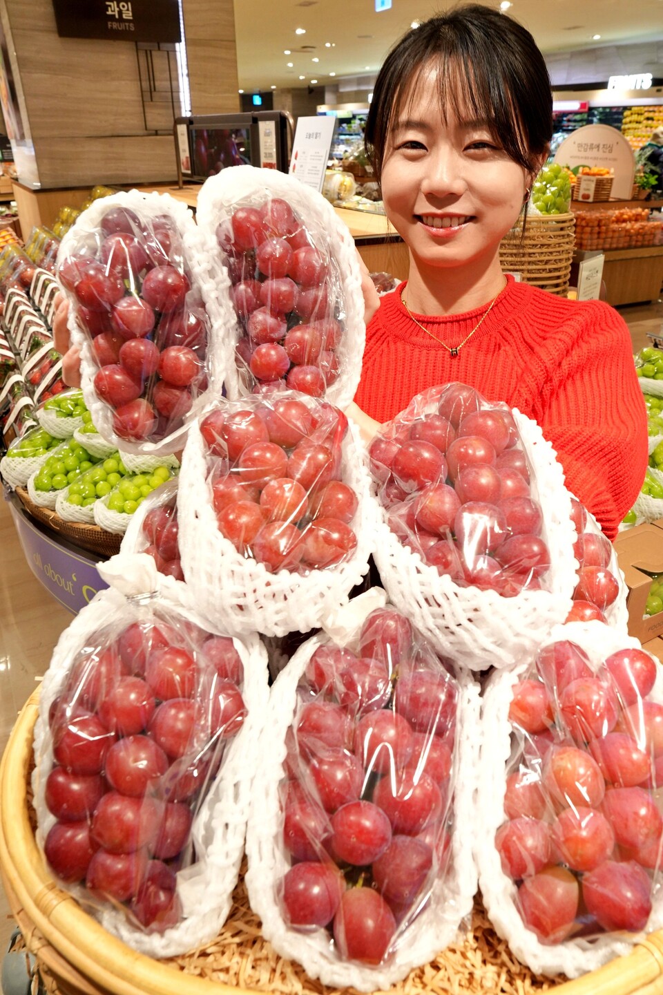 롯데백화점, 신품종 적색 포도 글로리 스타 선보인다