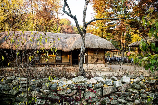 서울랜드, 2월 1주차 경기 선호 여행지 트렌드지수 순위 1위...캐리비안베이·웅진플레이도시 뒤이어