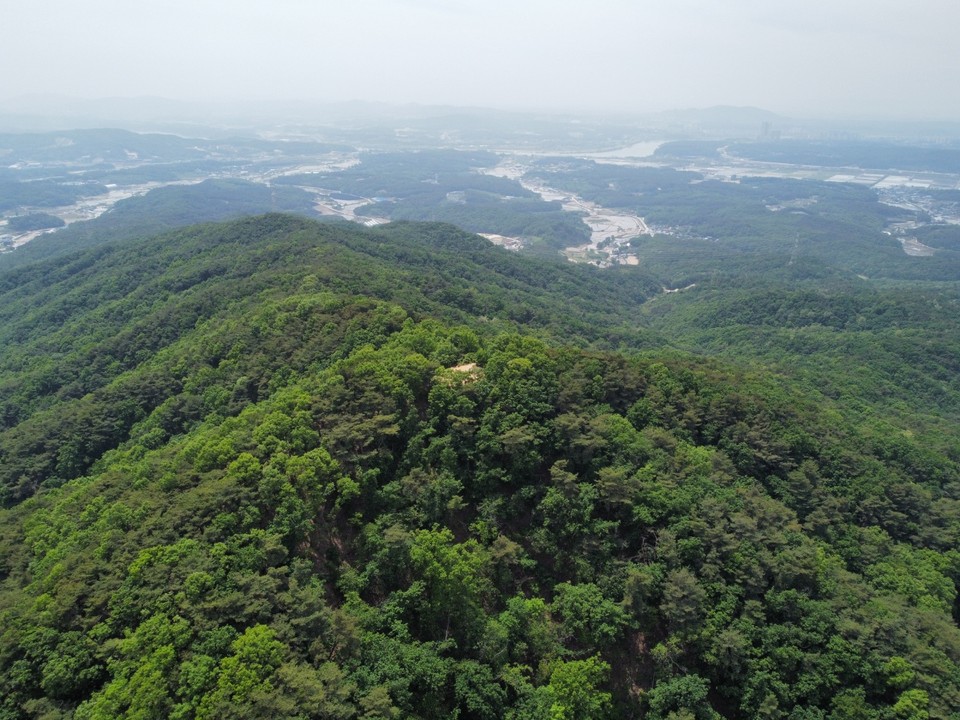 [드본세] 아까시아 꽃향기 진동하는 여주 보금산