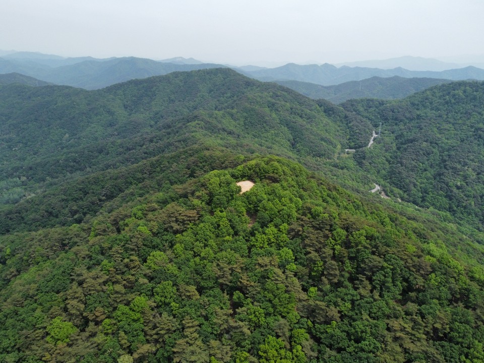 [드본세] 아까시아 꽃향기 진동하는 여주 보금산