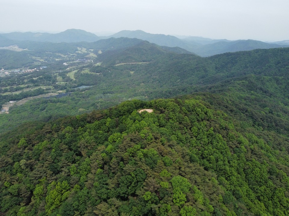 [드본세] 아까시아 꽃향기 진동하는 여주 보금산
