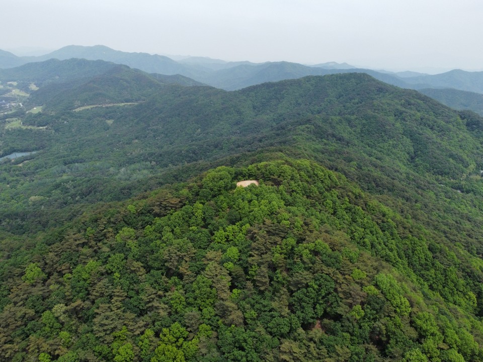 [드본세] 아까시아 꽃향기 진동하는 여주 보금산