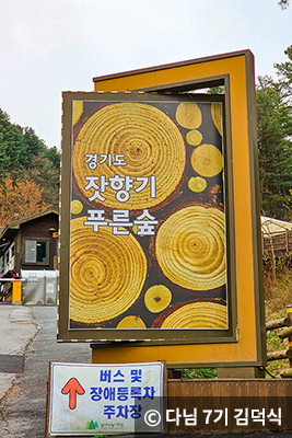 겨울에도 피톤치드 가득한 푸른숲 4곳