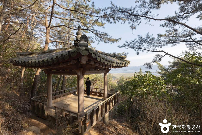 비용은 적게, 즐거움은 두 배! 반값으로 즐기는 강진 여행