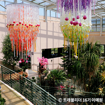 숲속 힐링을 즐기는 식물원 명소 4곳