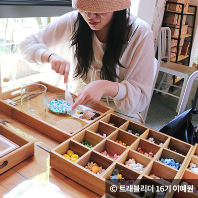숲속 힐링을 즐기는 식물원 명소 4곳