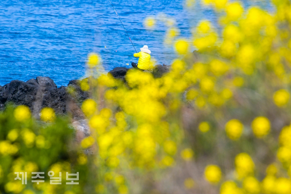 봄바다를 낚다
