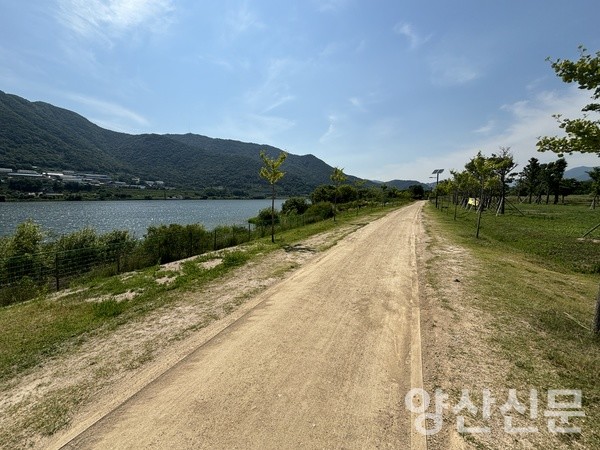 황산공원 강변산책로서 맨발로 마사토길 걸어요