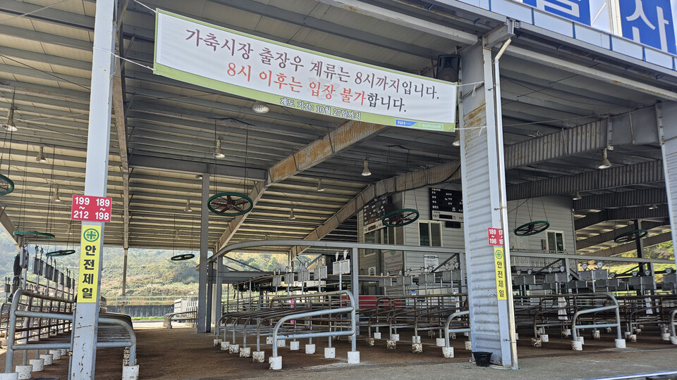 가축시장 폐쇄 등 울산도 럼피스킨병 초긴장