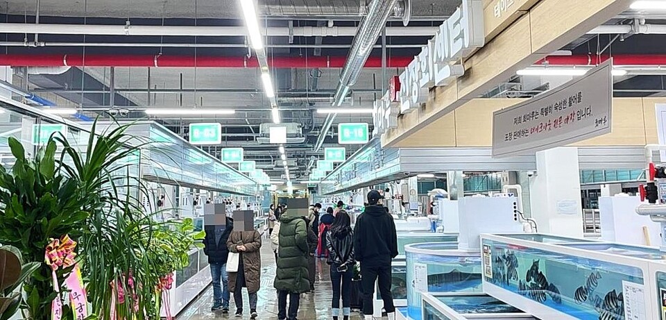 진장회수산센터→울산회시장 새단장     24~26일 울산 날로 먹는 축제 개최