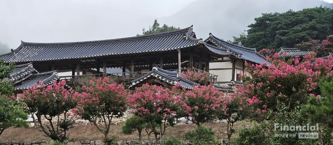 [이동미의 여행테라피] 붉은 여름이 피는 곳, 병산서원의 배롱나무