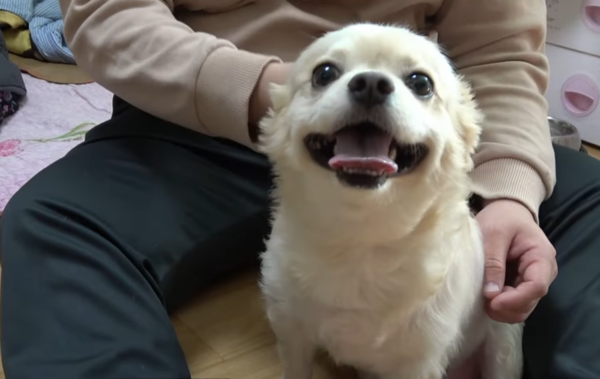 [임기자의 생생지락TV] 지적장애인 청년과 아픈 강아지 똘이