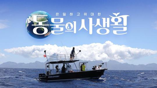 은밀하고 위대한 동물의 사생활
