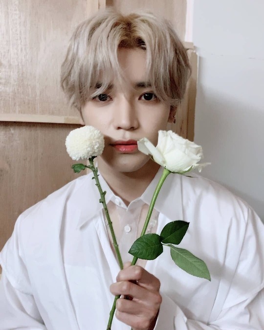 NCT 127 태용, 퐁퐁국화+장미꽃 들고 ‘현실판 꽃을 든 남자’[SNS★컷]