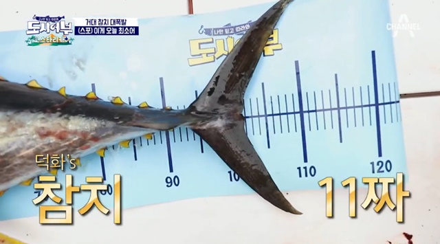 이덕화, 1m 10㎝ 괴물 참치 잡고 심장 먹방 “11짜 괴력 대단해”[결정적장면]