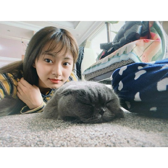 í¸ìì´ì¤ ì¯ì, ê³¼ì¦ç¾ í­ë° ìì¹´ ê³µê° âìì²´ë°ê´ ë¯¸ëª¨â[SNSâì»·]