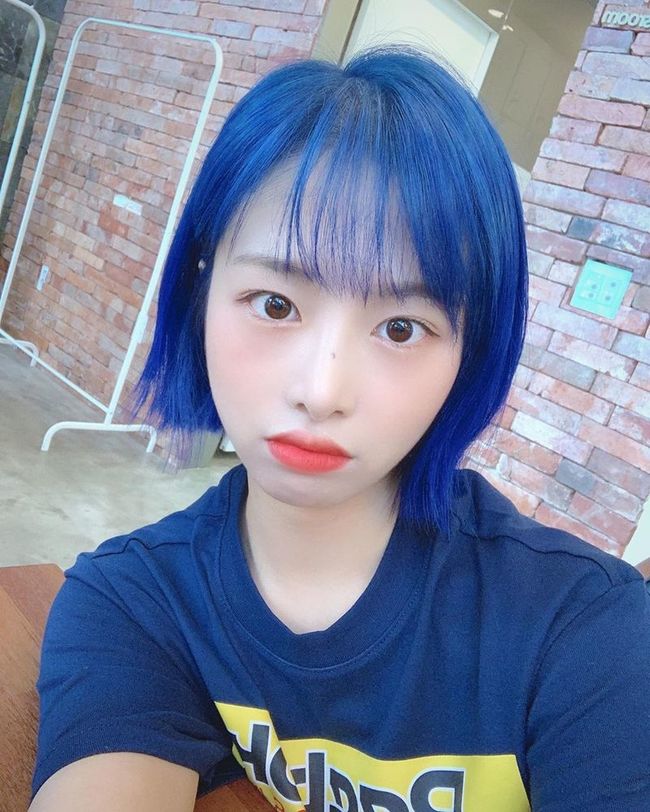 김채원, 파격적 파란 머리+단발 변신 ‘더 예뻐졌네’[SNS★컷]