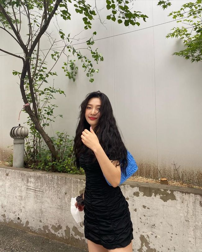 레드벨벳 조이, 매일이 리즈 갱신 ‘히피펌 소화력 甲’ [SNS★컷]