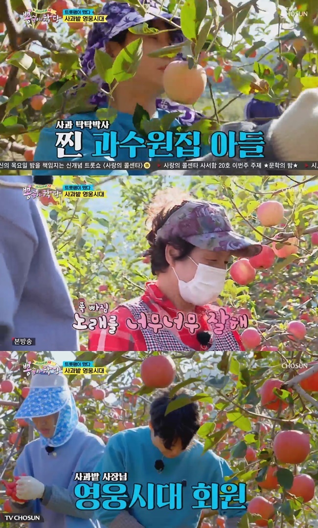 ‘뽕숭아학당’ 영탁 “난 과수원집 아들, 매년 사과 땄다”
