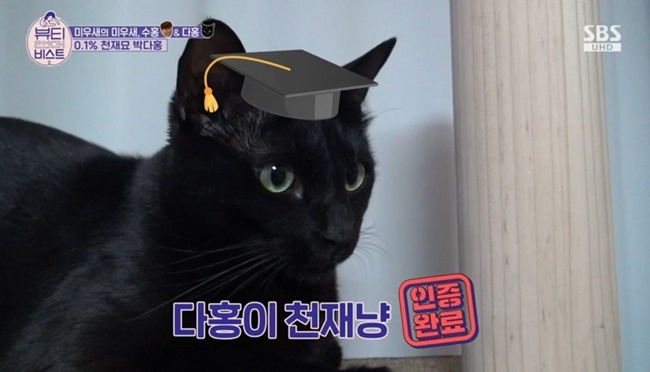 박수홍, 천재묘 다홍이 팔불출 아빠 “족보 장난 아닐 것”(ft. 승희) ‘뷰티’[어제TV]