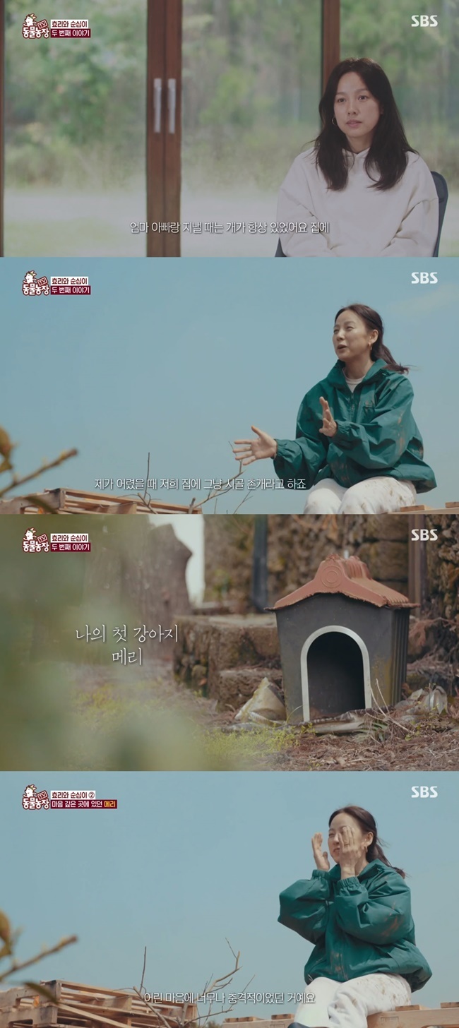 이효리 “첫 반려견 메리, 부모님이 보신탕 집으로…아직도 미안해”(동물농장)