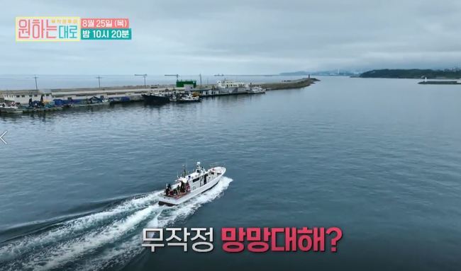 ‘원하는대로’ 최지우vs박하선, 바다낚시 도전→극과극 텐션 자랑