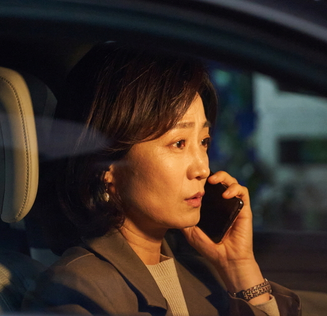 ‘두뇌공조’ 김수진, 정용화 유일한 혈육인 고모된다‥신스틸러 예고