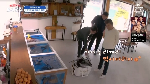 이덕화, 귀한 돌돔 수놈 등장에 “우리끼리 먹어버리자” 욕심 폭발(도시횟집)