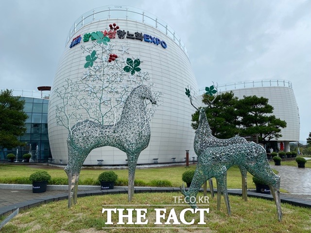 함양산삼항노화엑스포 산삼 항노화 모든 것 한눈에