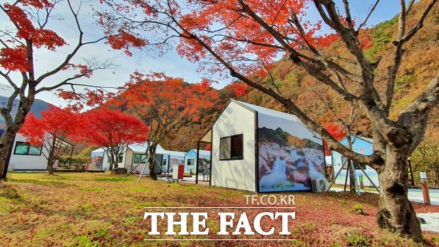 울긋불긋 단풍으로 물든 지리산국립공원 야영장 [TF포토]