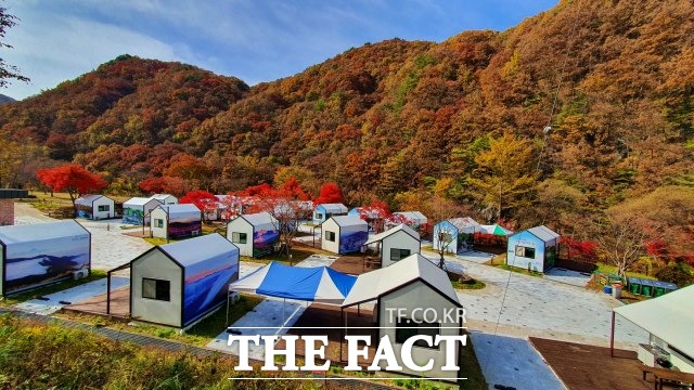 울긋불긋 단풍으로 물든 지리산국립공원 야영장 [TF포토]