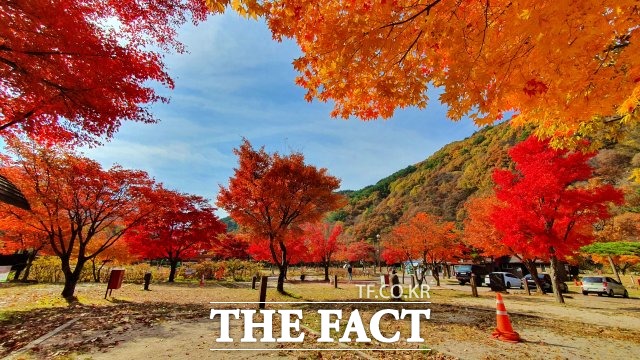 울긋불긋 단풍으로 물든 지리산국립공원 야영장 [TF포토]