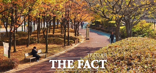 가을 내음 가득한 청주 오송 [TF사진관]