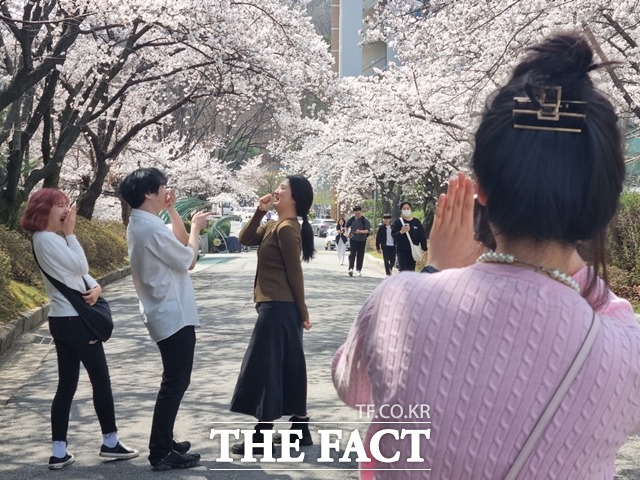 캠퍼스에 찾아온 벚꽃 선물에 모두가 활짝 [TF사진관]