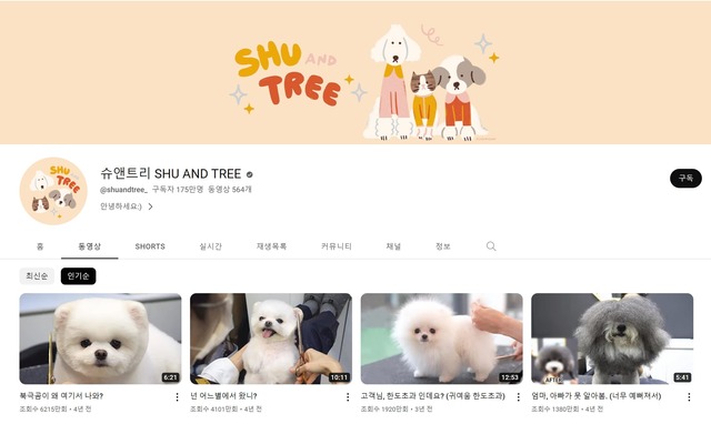 [인플루언서 프리즘] 반려동물도 겟레디위드미…미용 유튜브 인기