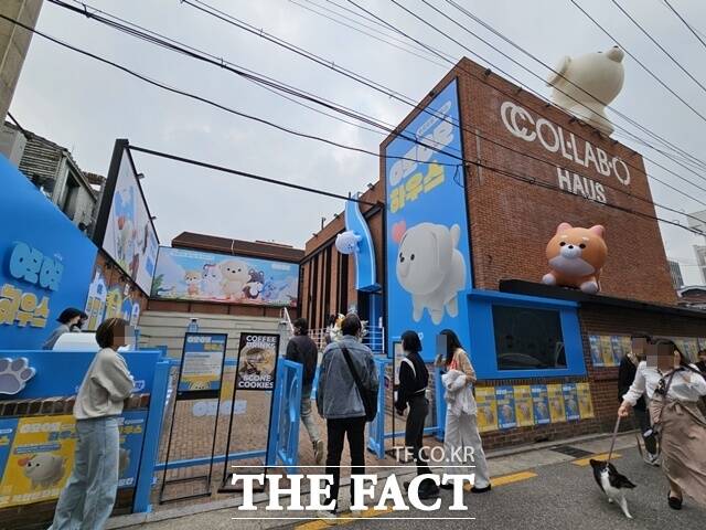 펫팸족 공략하는 삼성화재, 댕댕이도 푹 빠진 오모오모 하우스 가보니