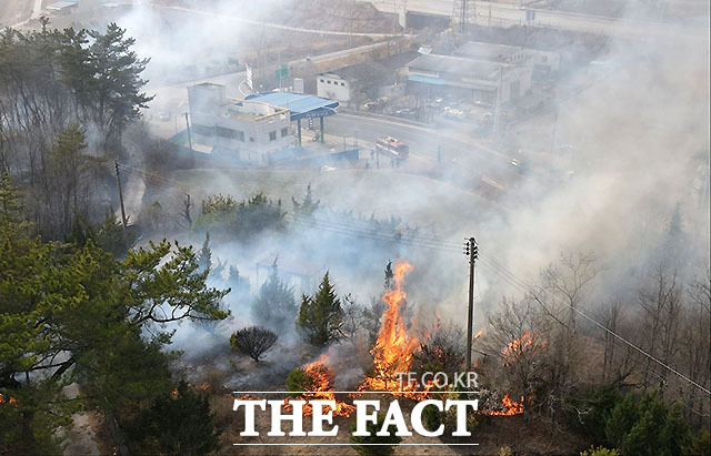 의성 산불 주유소 앞까지 닥친 긴급 상황 [TF포착]