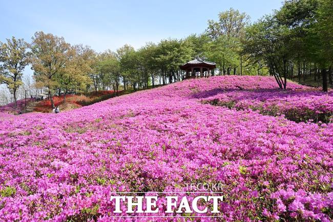 시흥시 은계호수공원의 두 가지 매력 낮과 밤 [TF사진관]