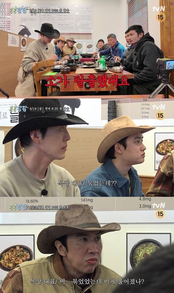 이광수·김우빈·도경수 '콩콩팜팜', 6월 19일 첫 방송