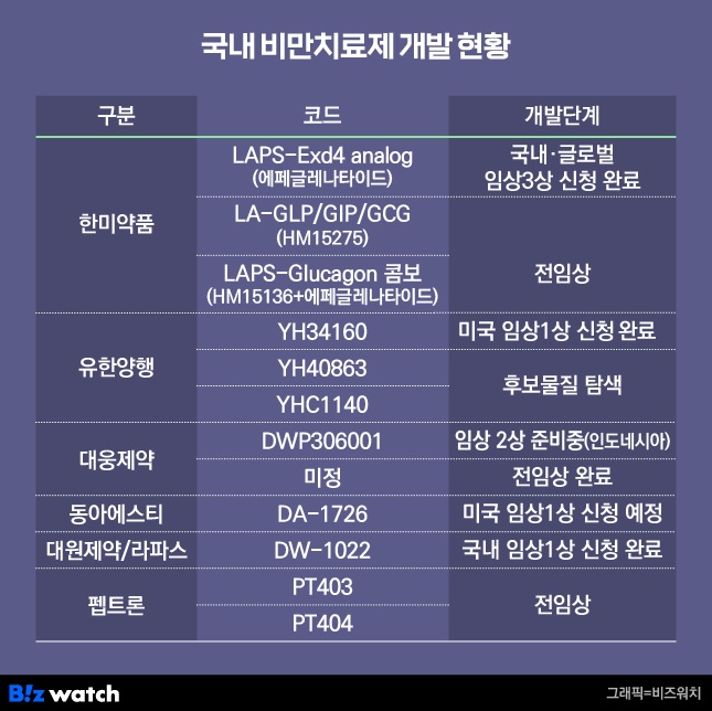 [신약 R&D 트렌드]주사·경구·패치 등 비만치료제 열풍
