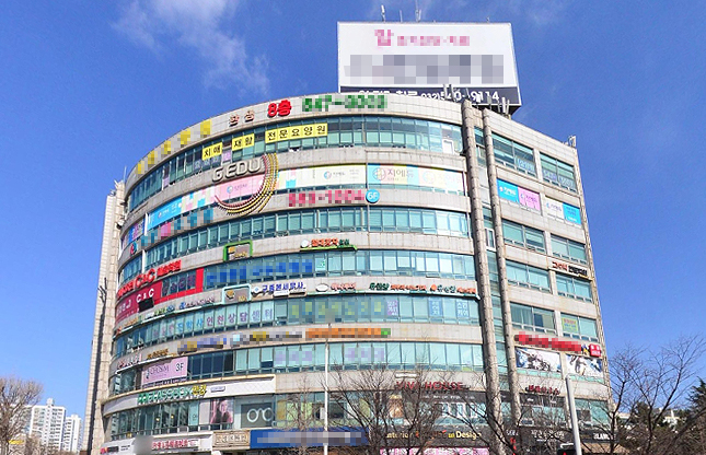 [거버넌스워치] 아이디스 안주인 황세누의 존재감…부동산 투자