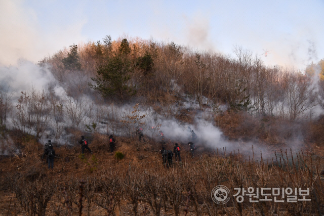 [삼척 산불] 산림 90ha·주택 1채 태우고 현재 진화작업 본격화
