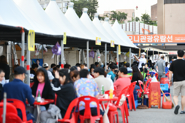 동해안 오징어가 돌아왔다...속초 동명항 활기