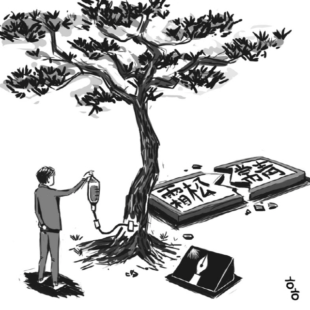 [명경대] 언론회관 소나무