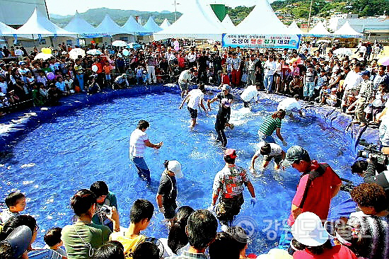 오징어·문어 대표도시 동해 묵호, 수산물 축제 부활하나?