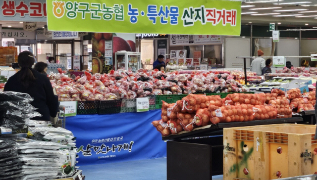 양구 사과·꿀·시래기·쌀 맛 좋아요 서울서 농특산물 특별판매