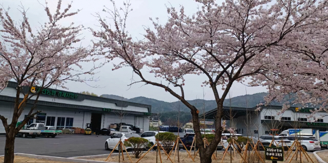 고성 거진농협, 거진읍에 경제사업부·하나로마트 2호점 개장