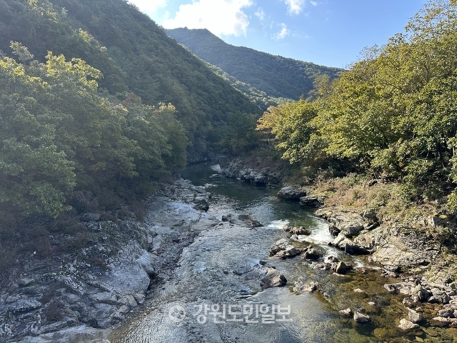DMZ 평화의 길 25코스 강원 애견여행지