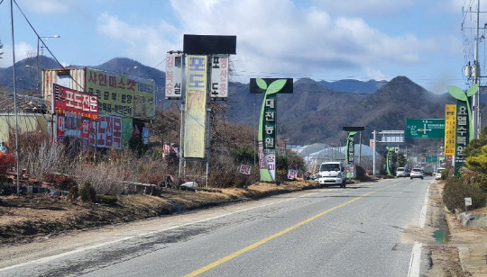 식목철 맞았지만 웃지 못하는 충북 옥천 묘목 농가들